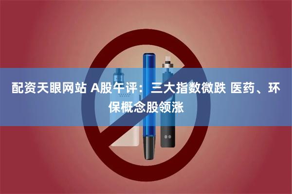 配资天眼网站 A股午评：三大指数微跌 医药、环保概念股领涨