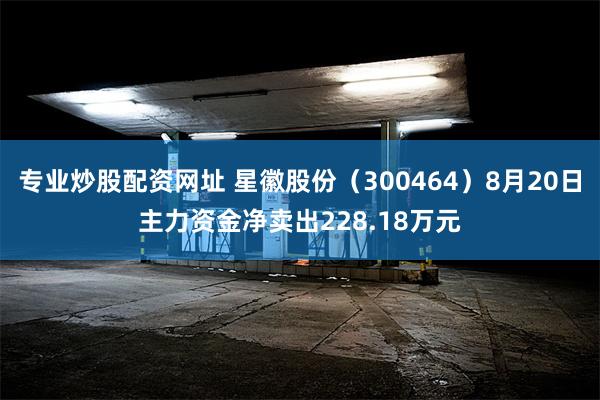 专业炒股配资网址 星徽股份（300464）8月20日主力资金净卖出228.18万元