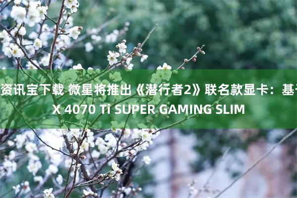 配资资讯宝下载 微星将推出《潜行者2》联名款显卡：基于RTX 4070 Ti SUPER GAMING SLIM