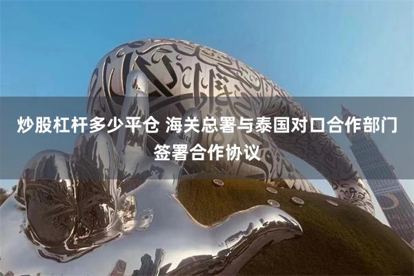 炒股杠杆多少平仓 海关总署与泰国对口合作部门签署合作协议